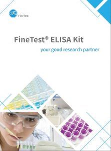 Elisa kit