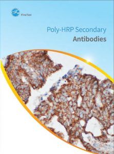 Signal Enhancing Series Antibody