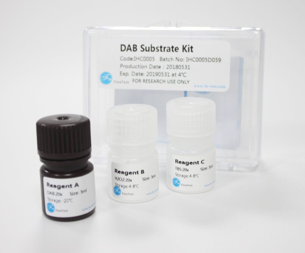 ROS(Reactive oxygen species) detection kit ELISA Kit