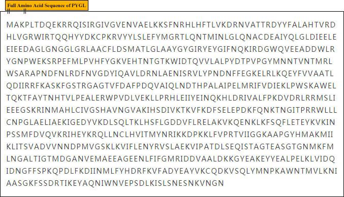 Amino Acid Sequence of PYGL