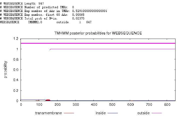 TMHMM Posterior Probabilities