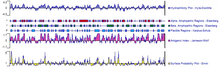 Analysis for Hydrophilicity, Immunogenicity, Exposure