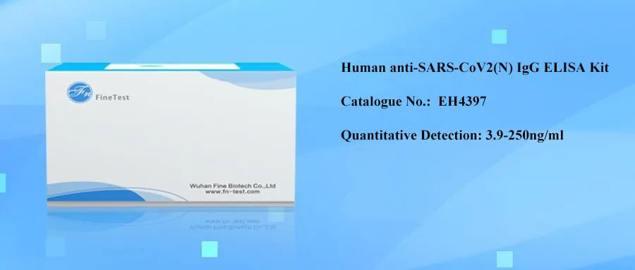 IgG ELISA Kit