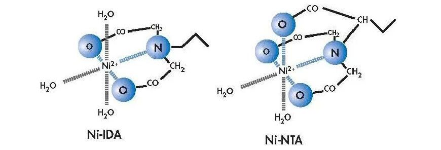 Ni-IDA-NTA