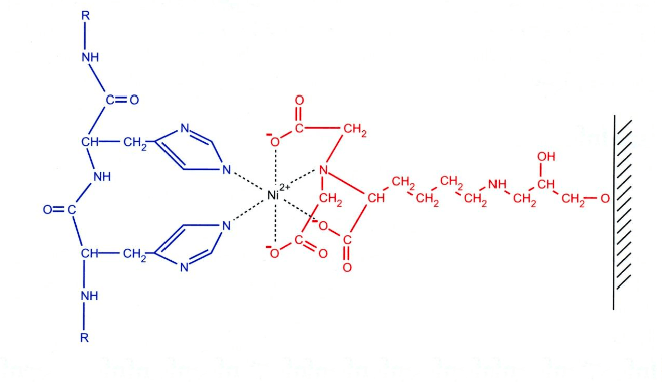 Ni-NTA matrix