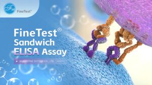 FineTest® ELISA Kit Operation Guide-Sandwich