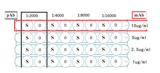 Elisa Checkerboard Titration