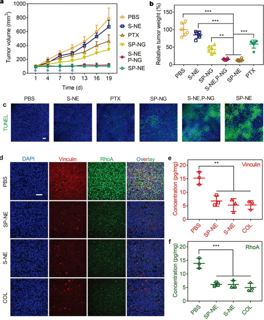 nanomedicine