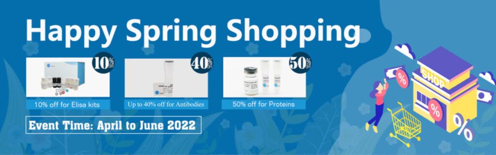 Spring Promotion