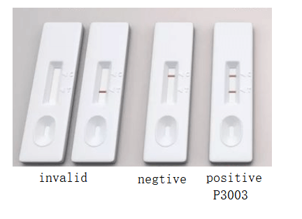 antigen test result