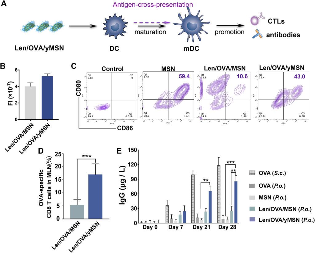 nanoparticle vaccine delivery