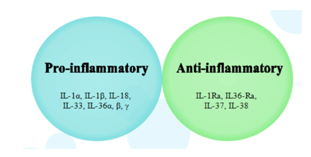 Inflammatory Cytokines
