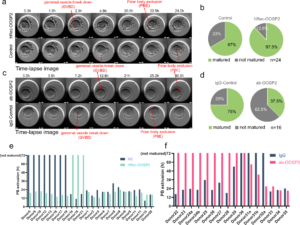 Gene Expression