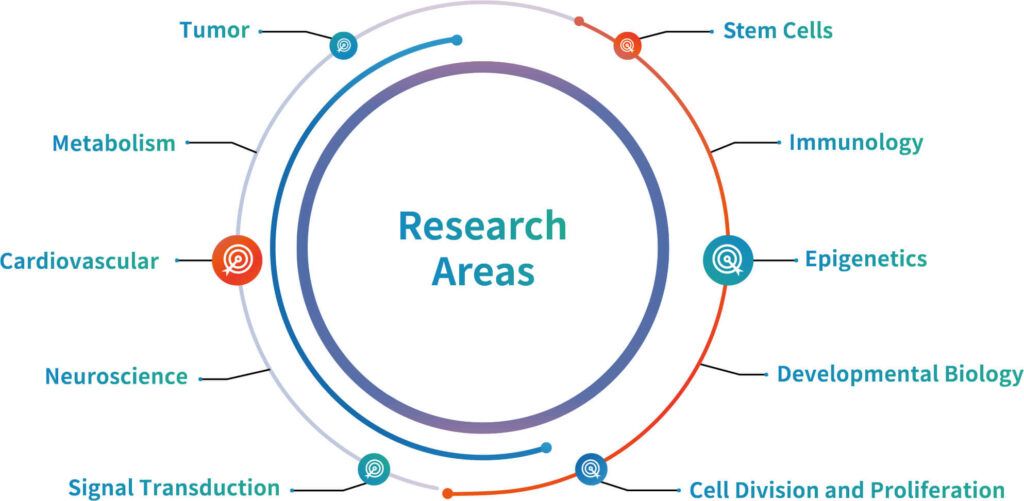 Antibody Research Areas