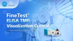 Targeted Control of TMB Coloring