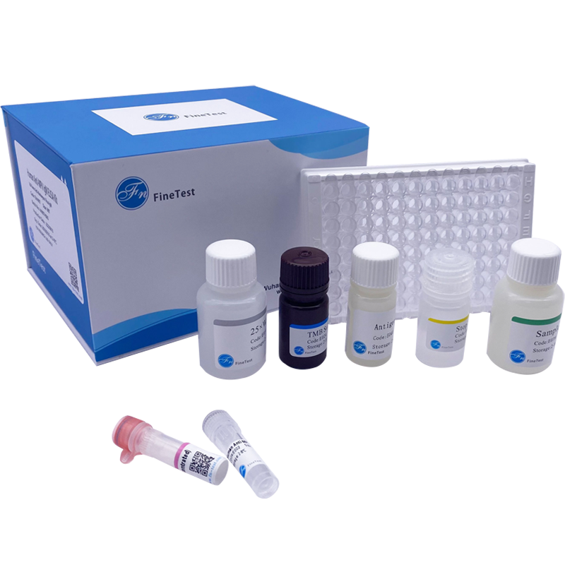 ELISA Kits Manufacturer ELISA Kit High Sensitivity ELISA Kit