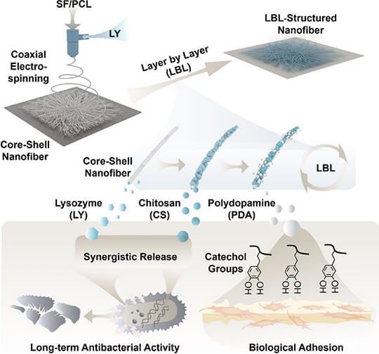 nanofiber