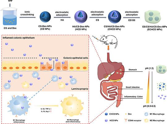 colitis treatment