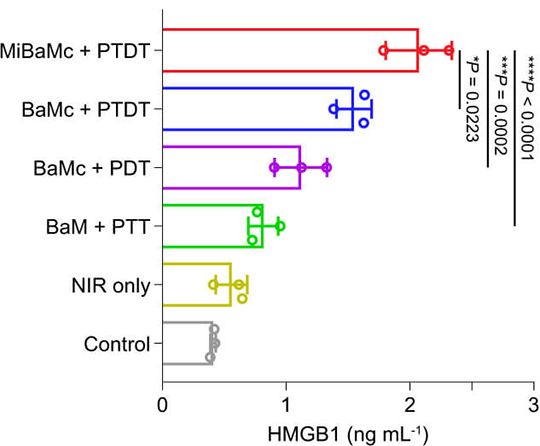 cancer immunotherapy