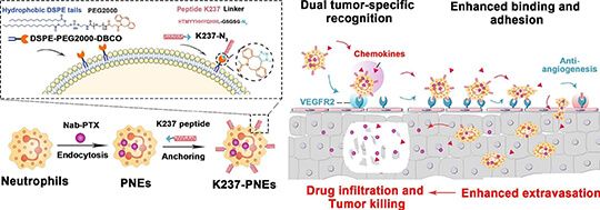 cancer therapy