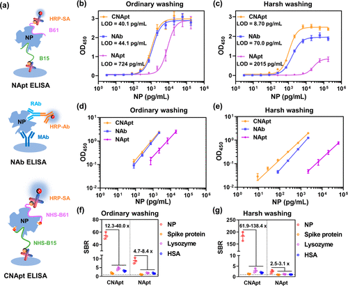 SARS-CoV-2 detection