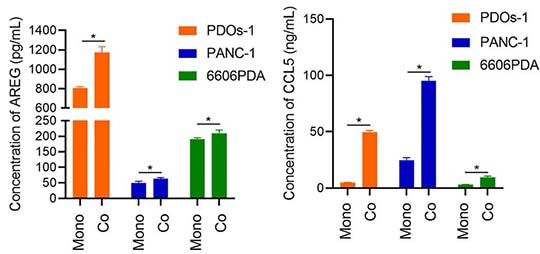 cancer drug resistance