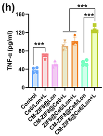 tumor metabolism