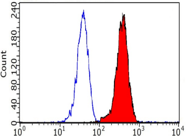 isotype control antibody_fc1