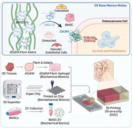 bone cancer