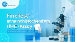 IHC Assay