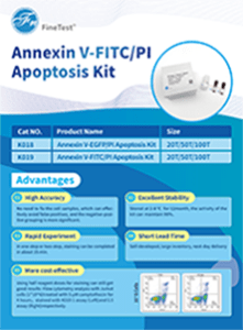 Annexin V-FITC PI Apoptosis Kit