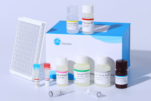 Infectious Diseases ELISA Kits