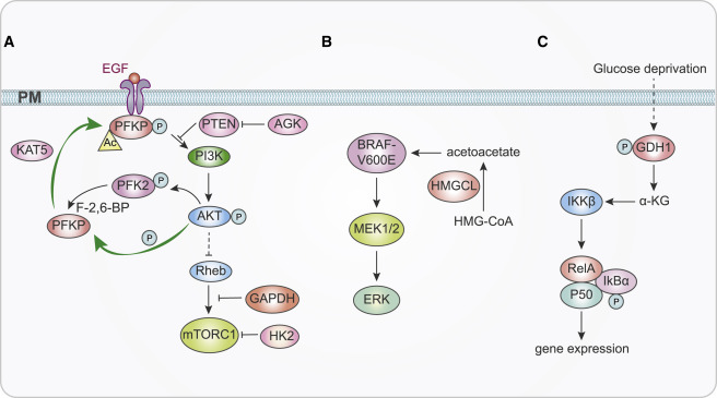 Signal Transduction