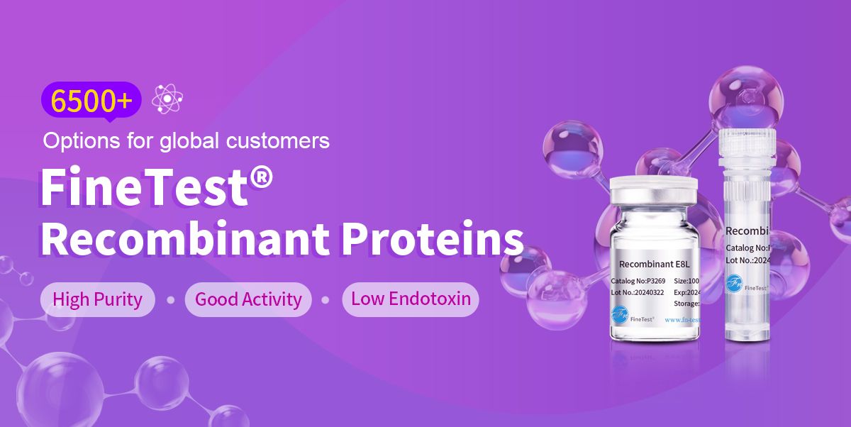 recombinant proteins