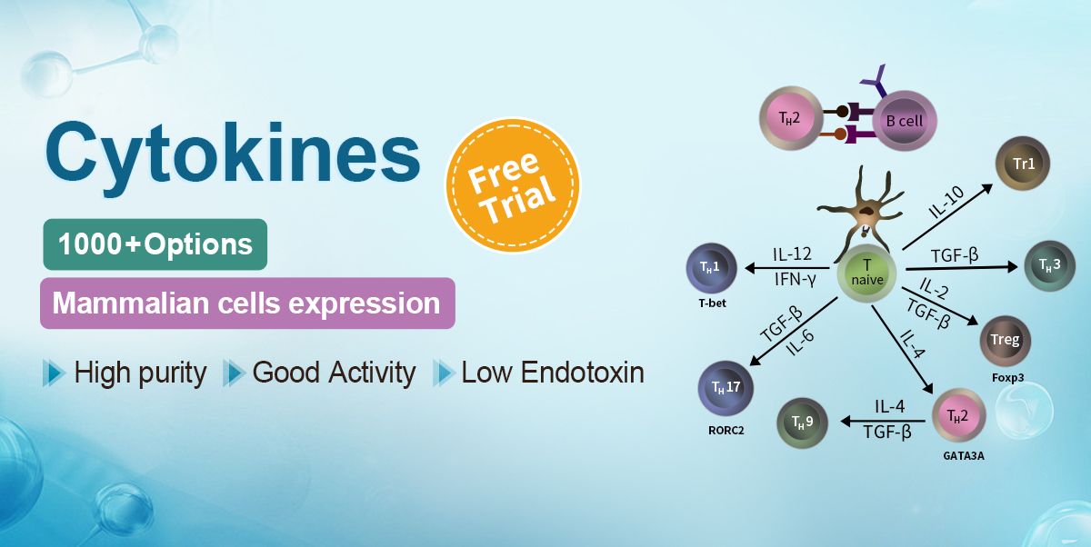 Cytokines ELISA Kits