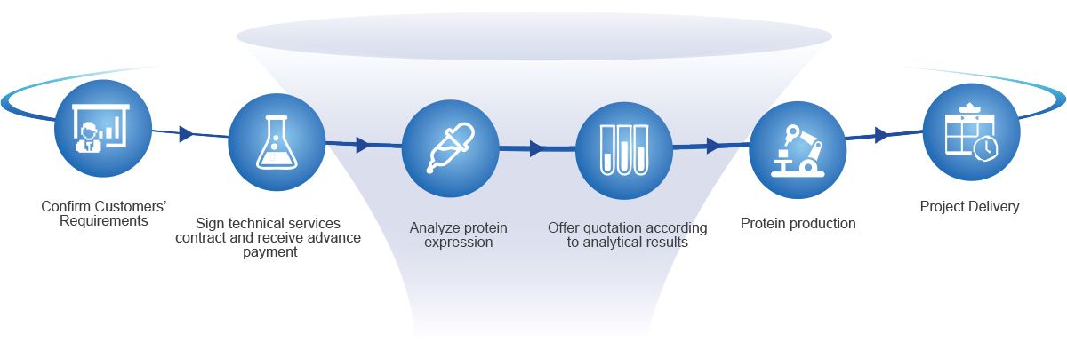 Custom Protein Services