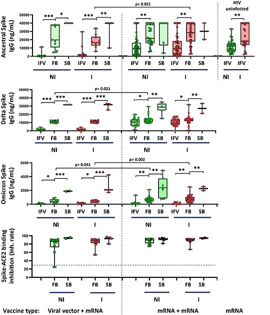 immune response