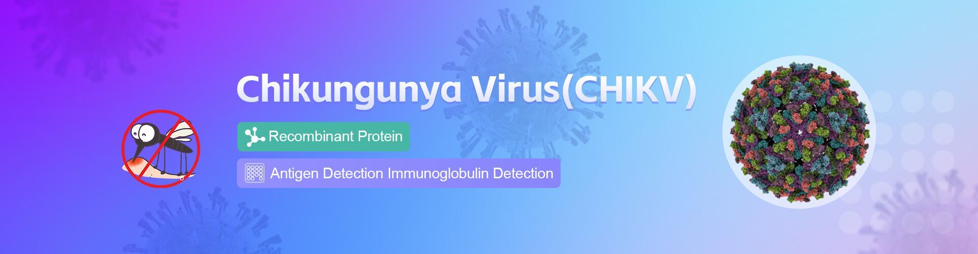 Chikungunya Virus(CHIKV)