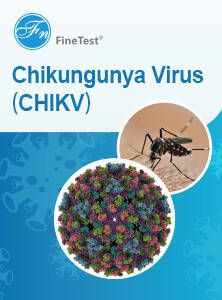 FineTest CHIKV Products