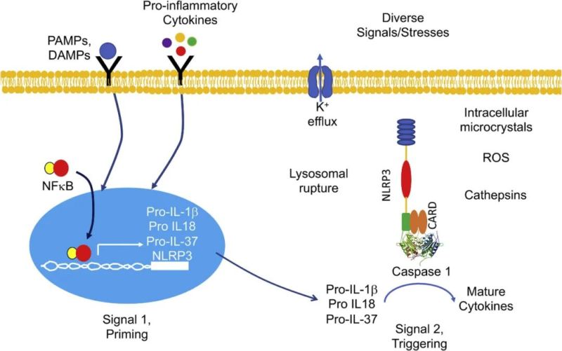 hypertension_2