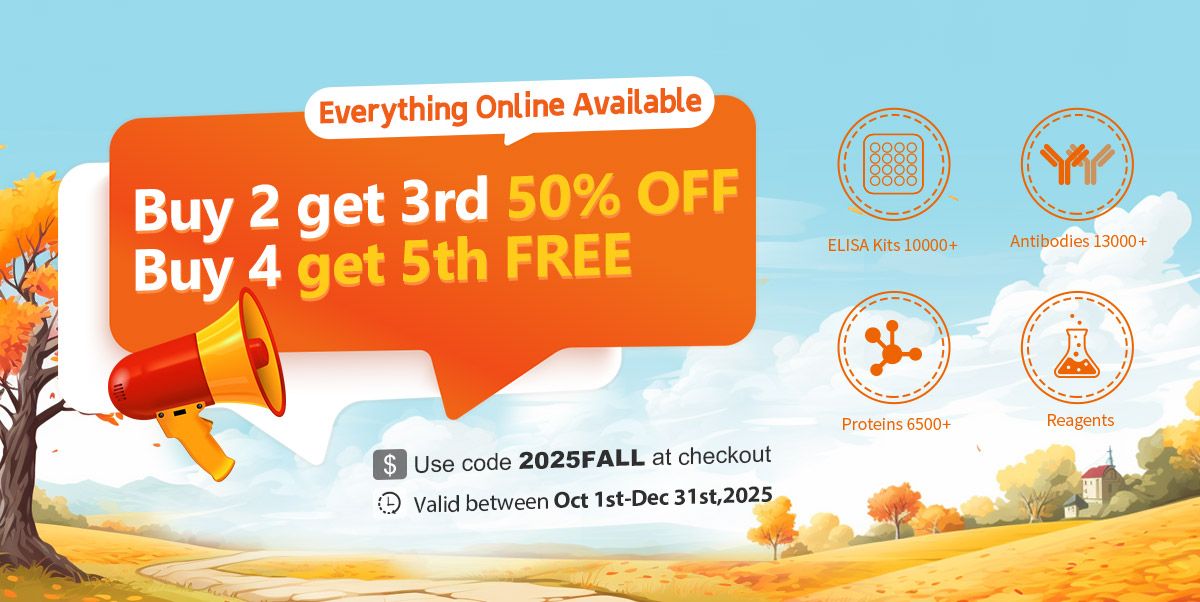 2025 Year End Sale