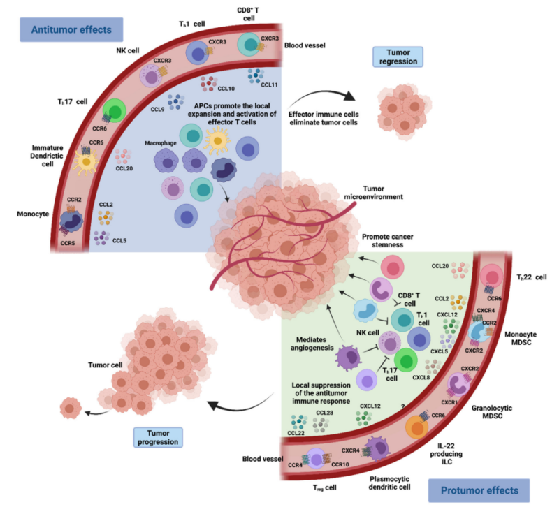 Chemokines in Cancer Treatment