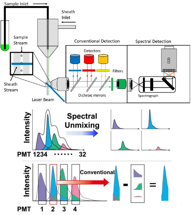 Spectral cytometers