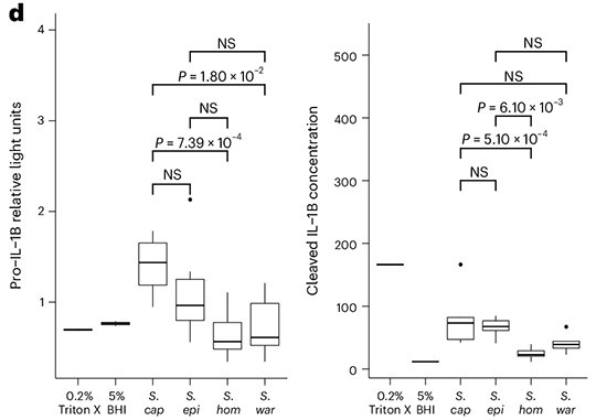 Skin Microbiota