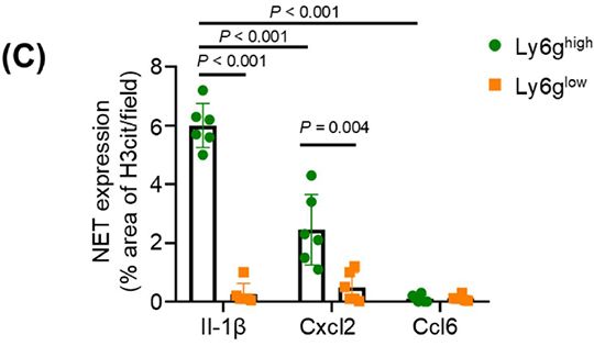 metastatic breast cancer