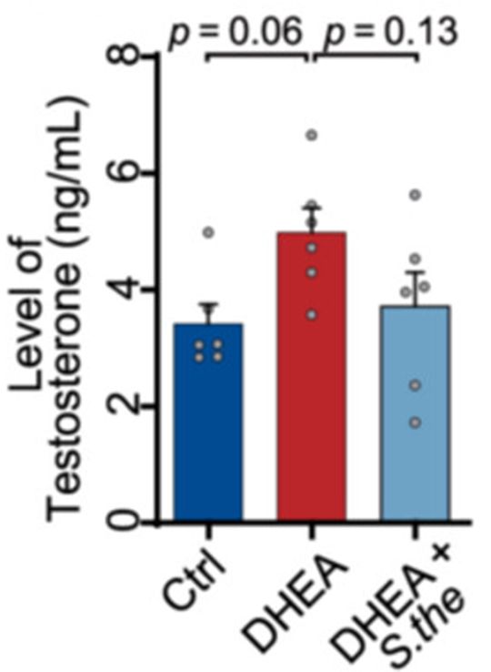 polycystic ovary syndrome