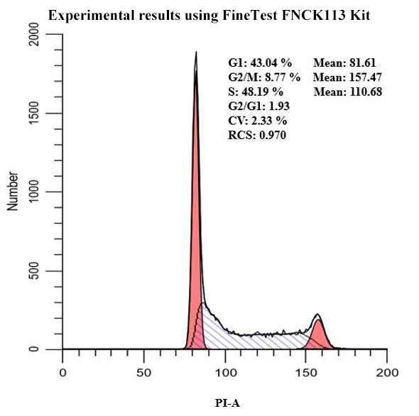 FACS Cell Cycle Analysis