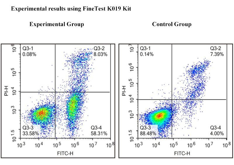 Apoptosis and Necrosis Detection