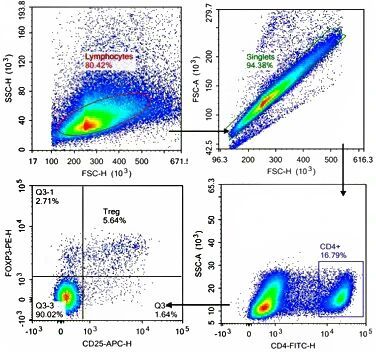 intracellular staining