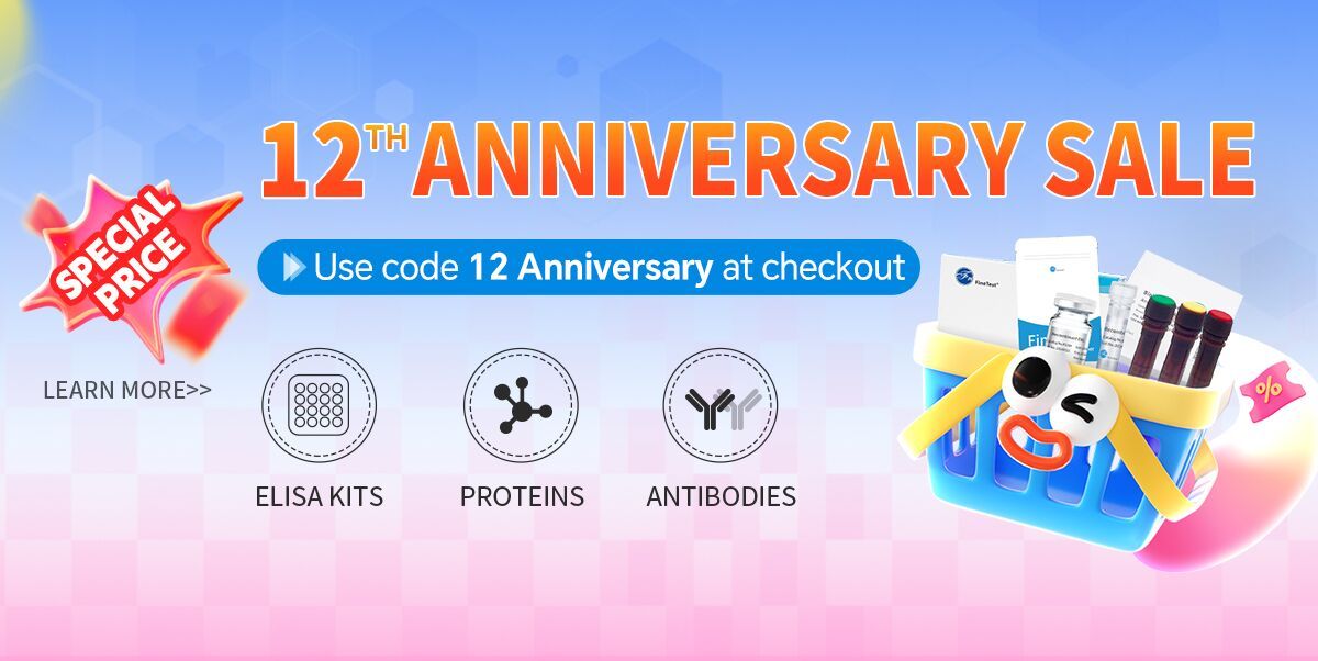 12th-anniversary-sale